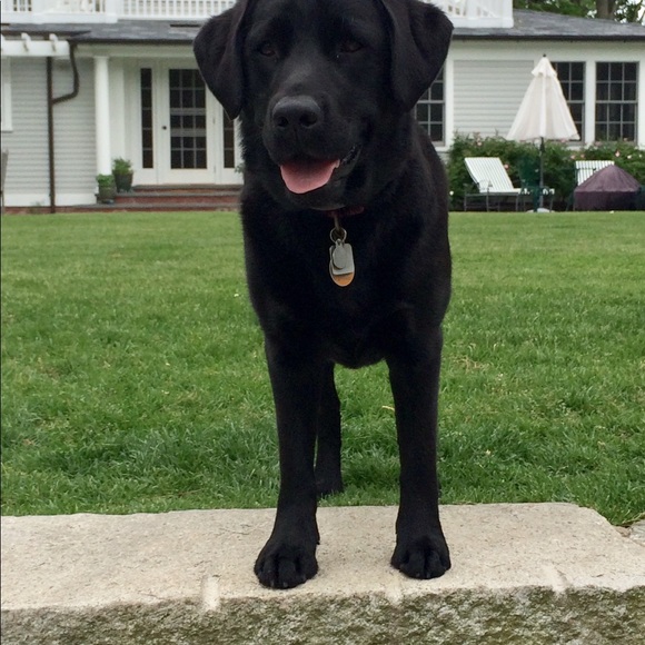 Meet your Posher, Brian - Picture 1 of 1